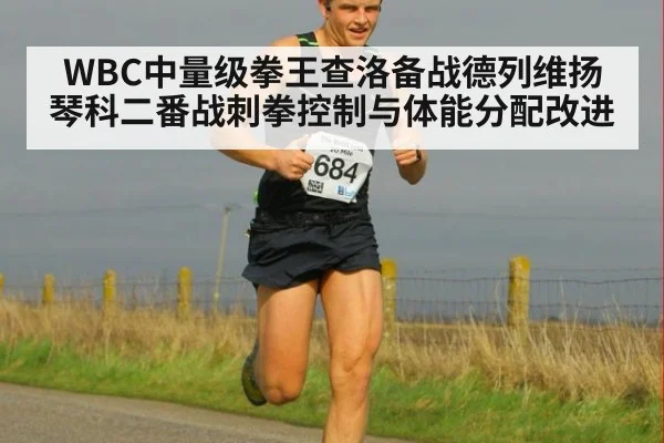 WBC中量级拳王查洛备战德列维扬琴科二番战刺拳控制与体能分配改进（jiuyouhui）